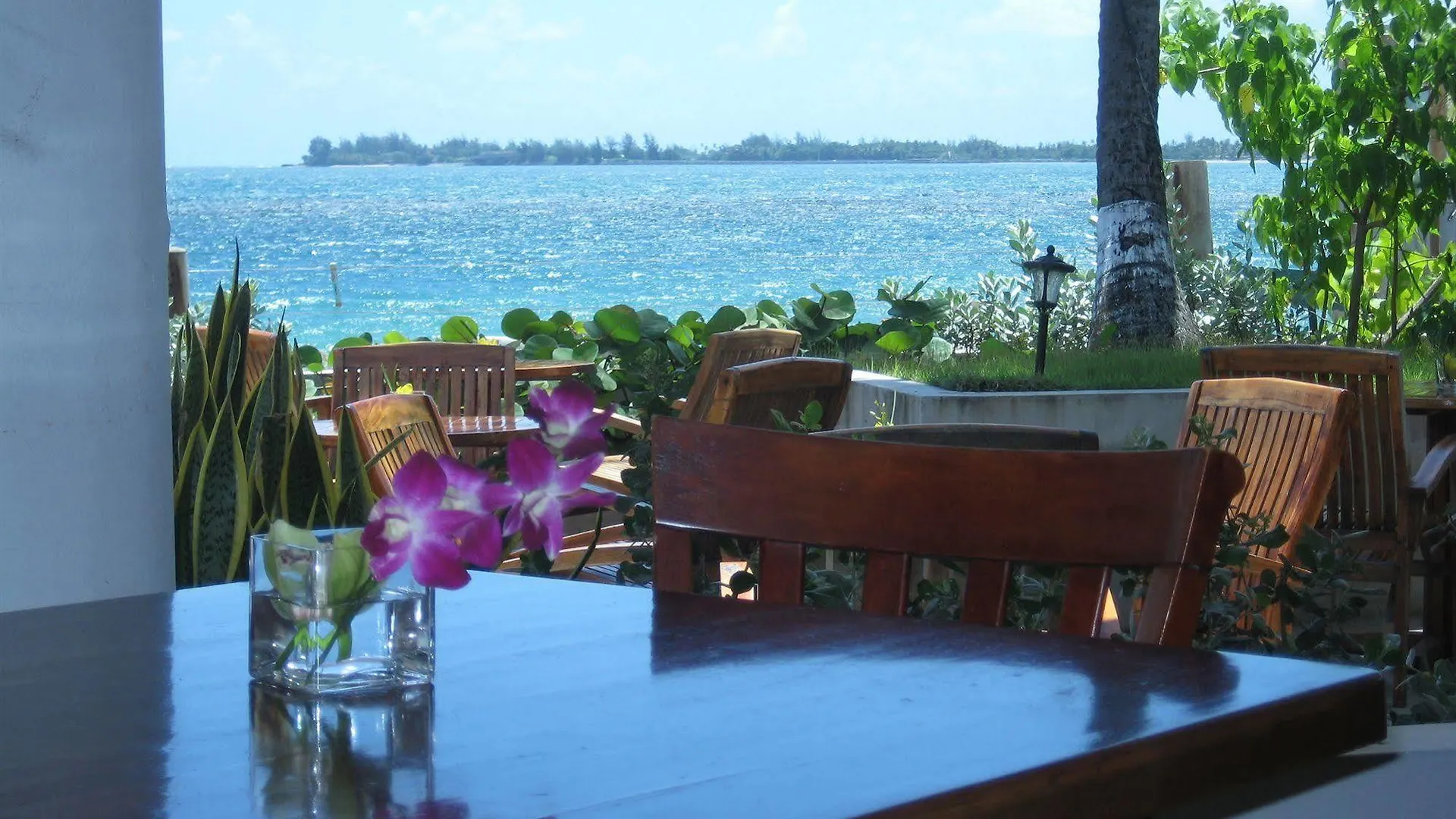 ***  Hotel La Playa Rolling Hills Porto Rico